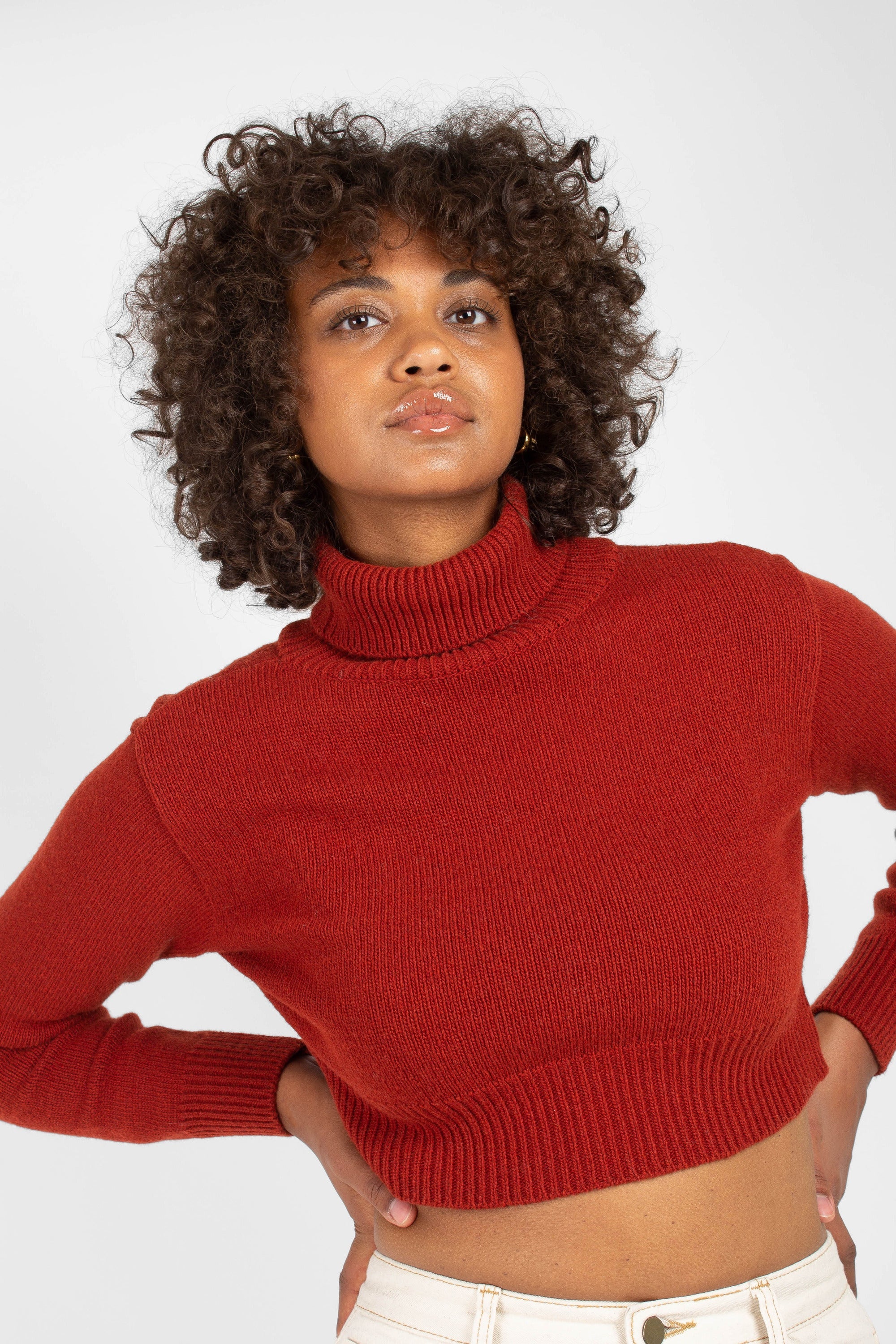 Rust orange wool cropped turtleneck jumper_1