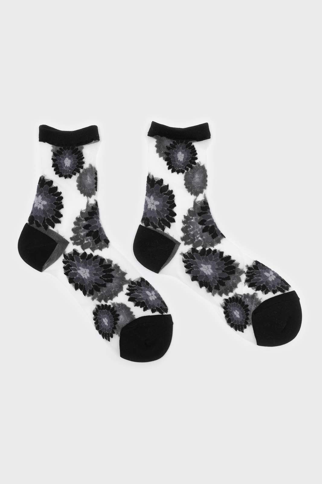 Black large daisy sheer socks_4