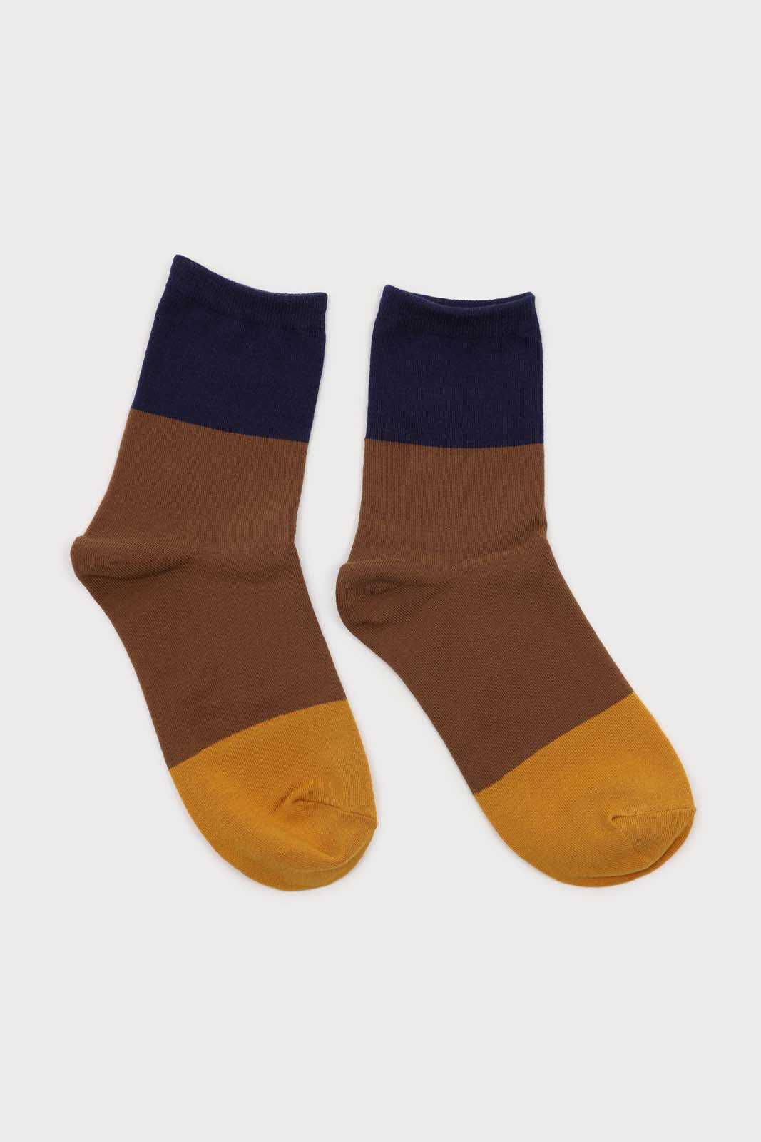 Camel and blue triple colorblock socks_4