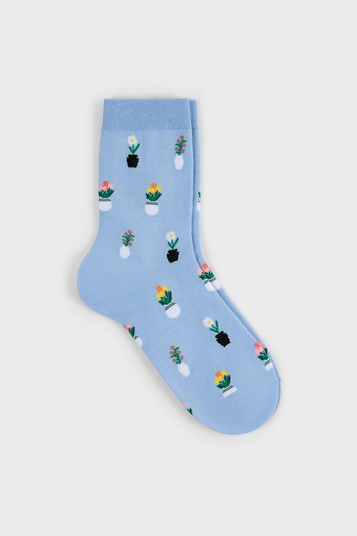 Light blue potted flowers socks_1