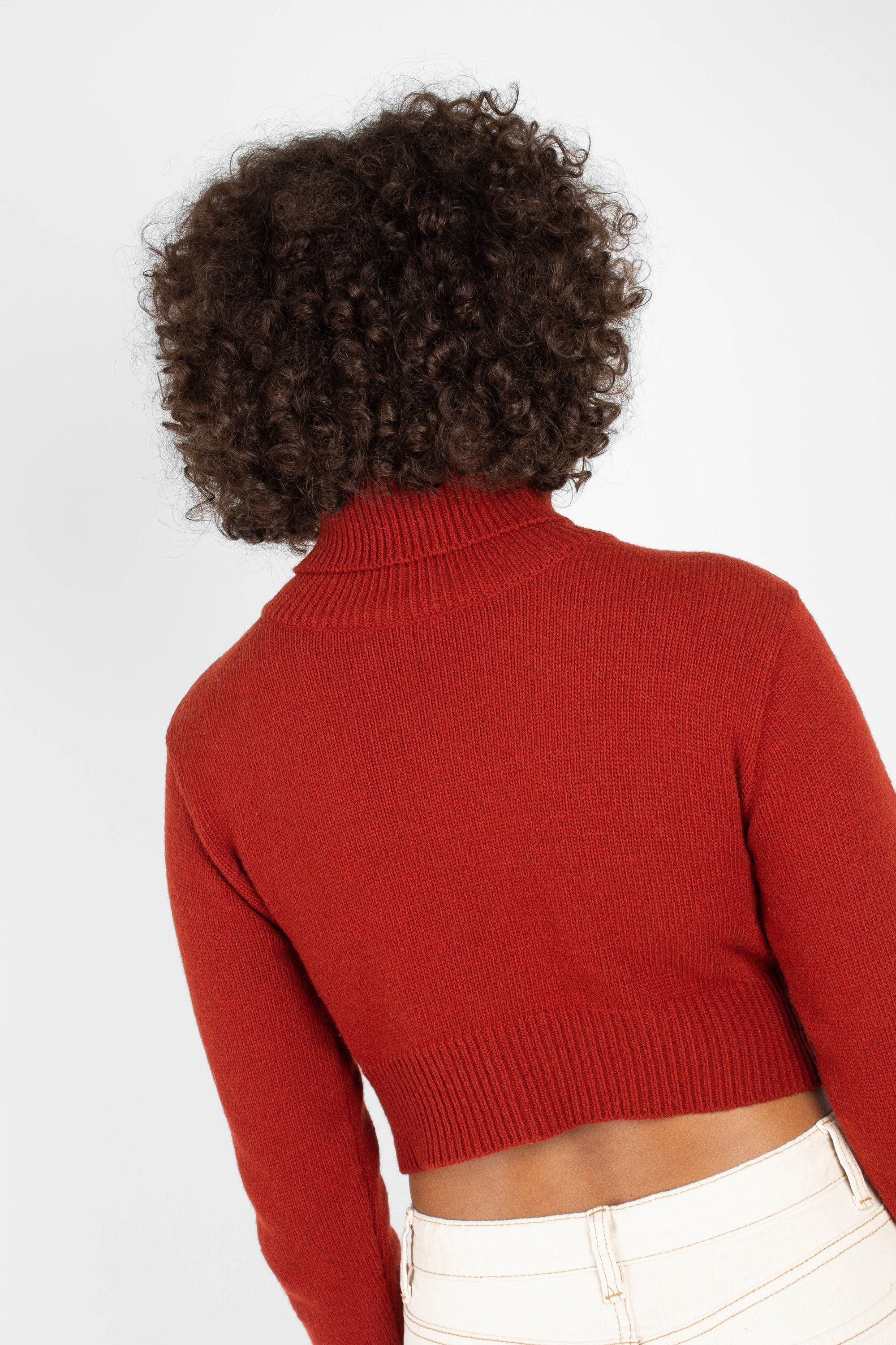 Rust orange wool cropped turtleneck jumper_5
