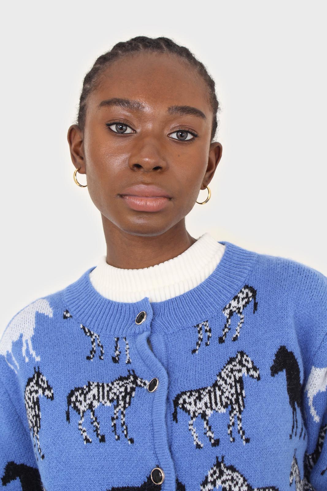 Blue zebra metal button puff sleeved cardigan_4