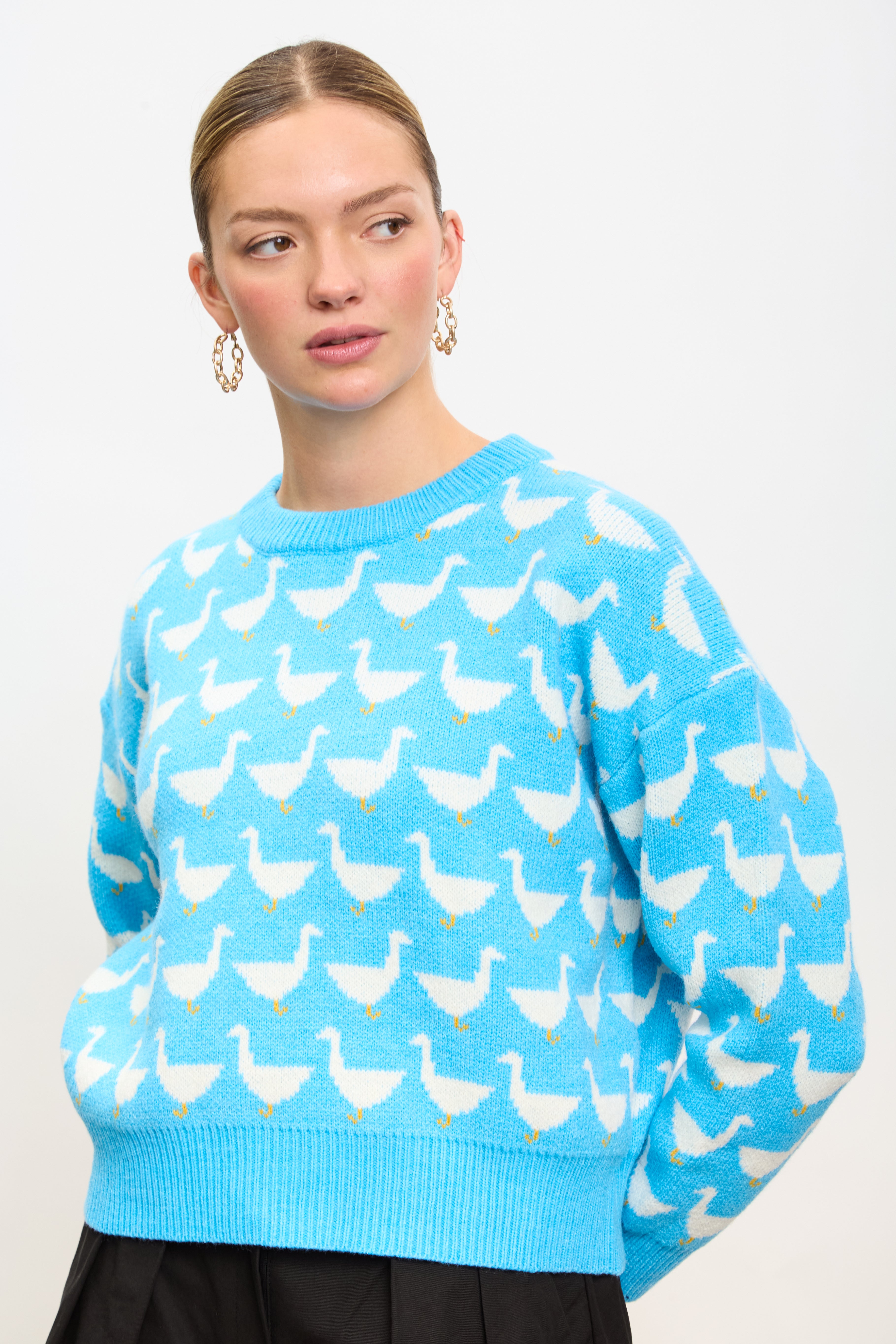 Blue intarsia duck jumper_2