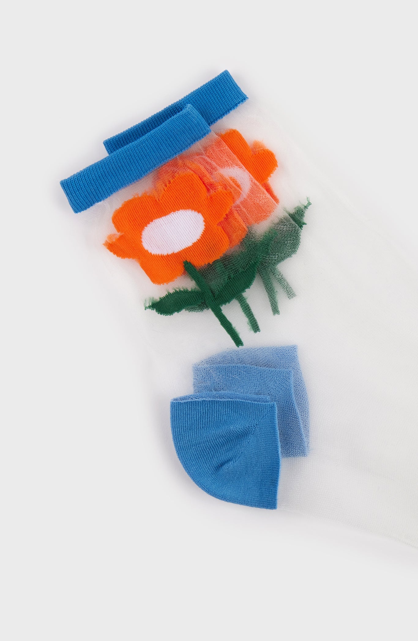 Orange sheer giant daisy cobalt trim socks_4