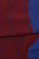 Burgundy and blue vertical stripe socks_2